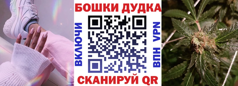 Бошки Шишки ГИДРОПОН  Купить закладки  Асбест 